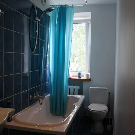Apartament Kalnciema Street 91 1 Riga